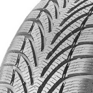 BF Goodrich g-Force Winter 205/60-R15 95H