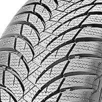 Nexen Winguard SnowG WH2 175/65-R13 80T